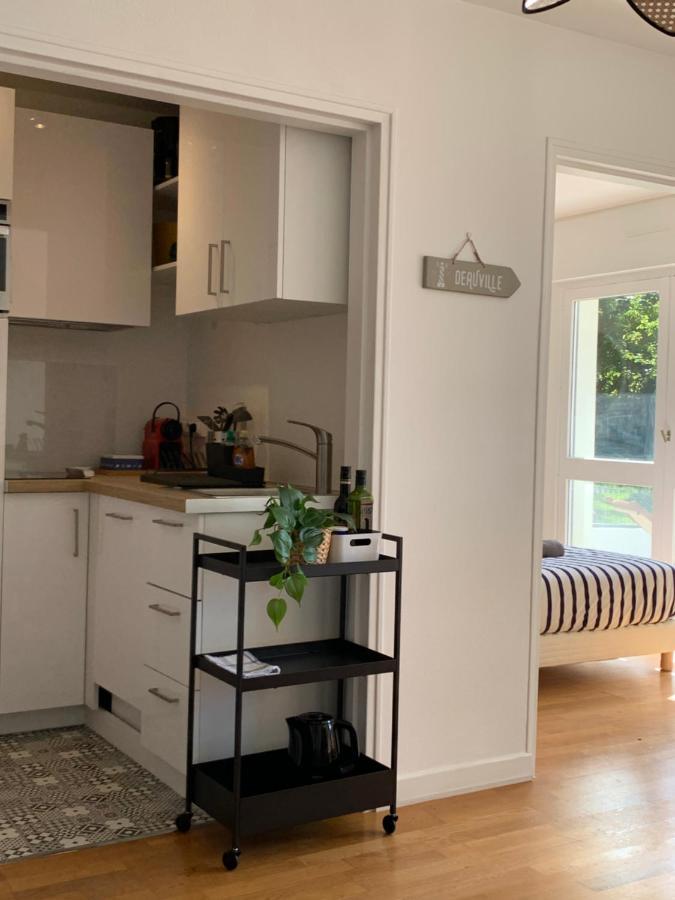 Trouville, Appartement Renove Avec Grande Terrasse Au Calme Luaran gambar