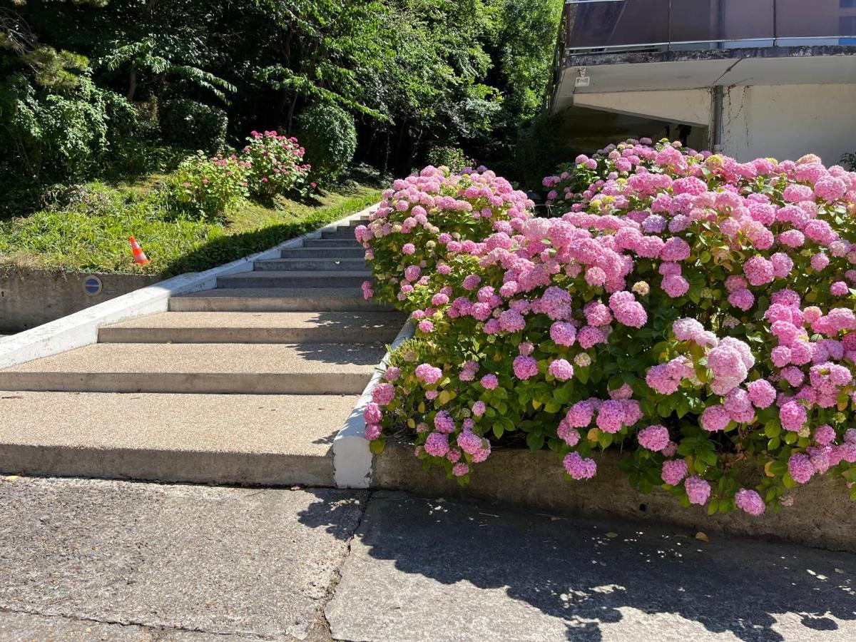 Trouville, Appartement Renove Avec Grande Terrasse Au Calme Luaran gambar